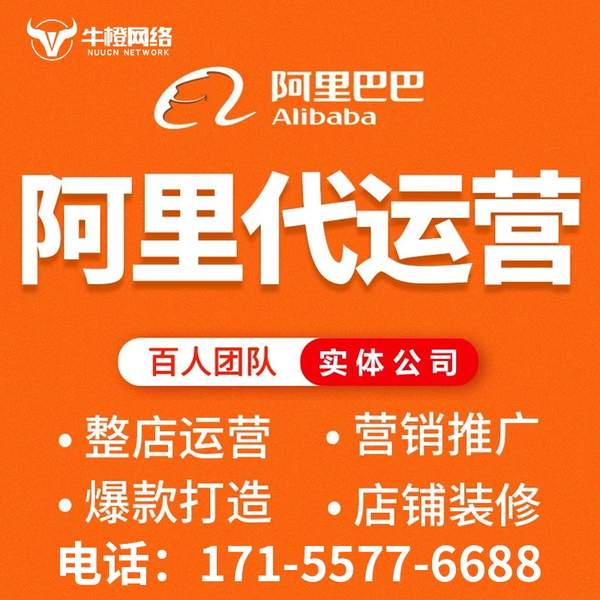 宣城电商代运营