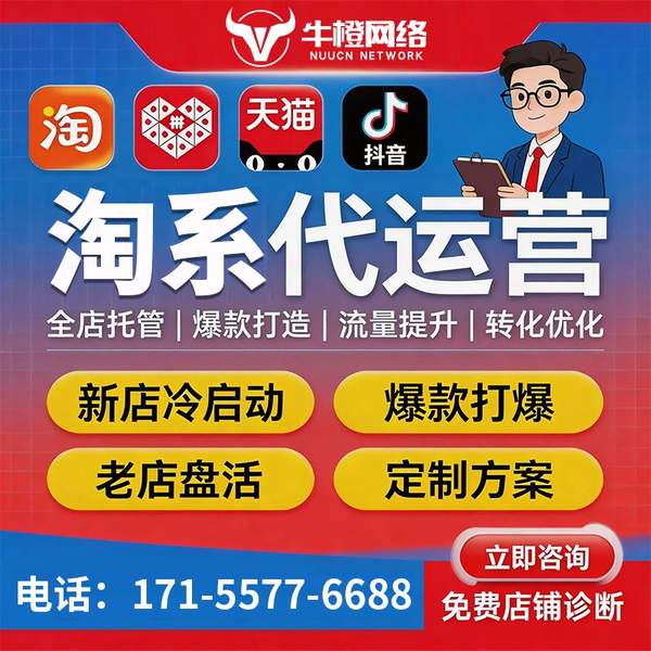 宣城电商代运营