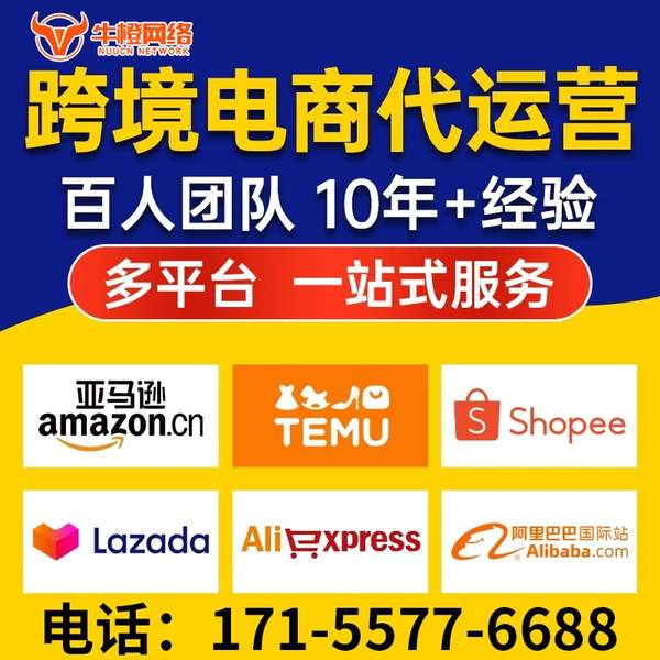 宣城电商代运营