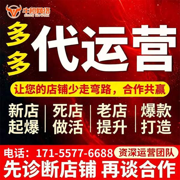 宣城电商代运营