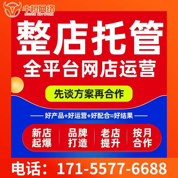 宣城电商代运营