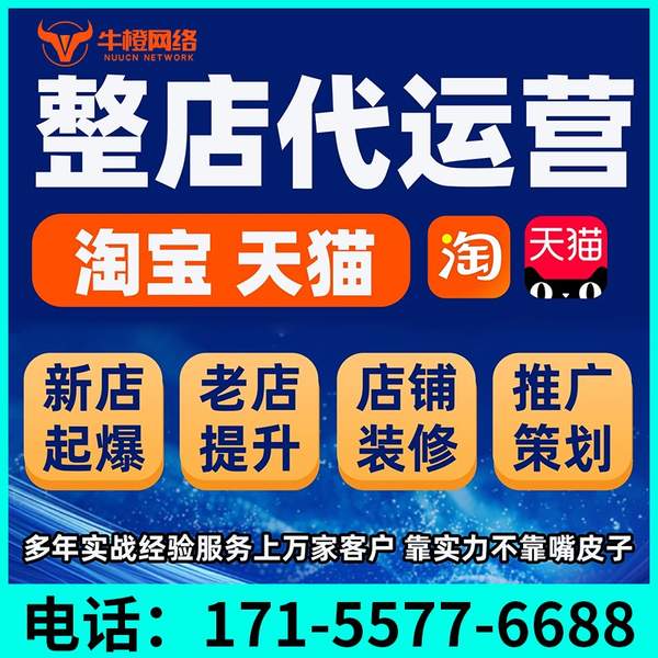 宣城电商代运营