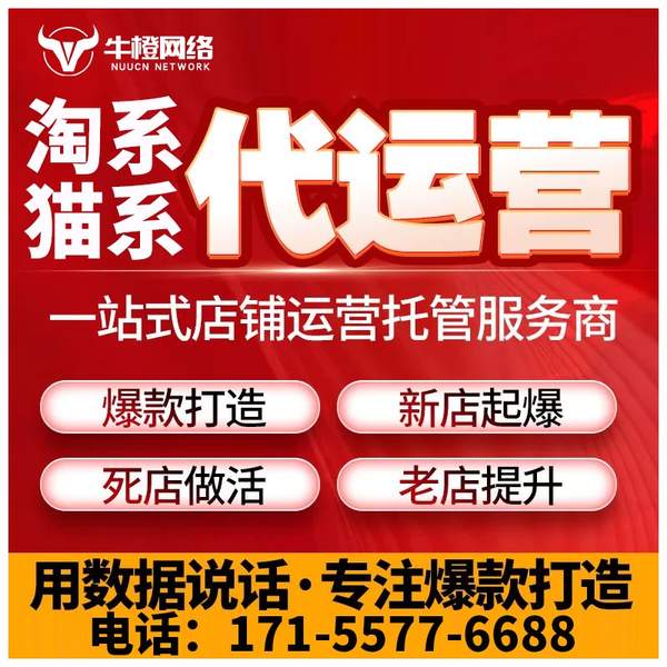 宣城电商代运营